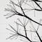 6ft. Pre-Lit Artificial Halloween Black Starburst Tree with 1680 Fairy Warm White LED Lights